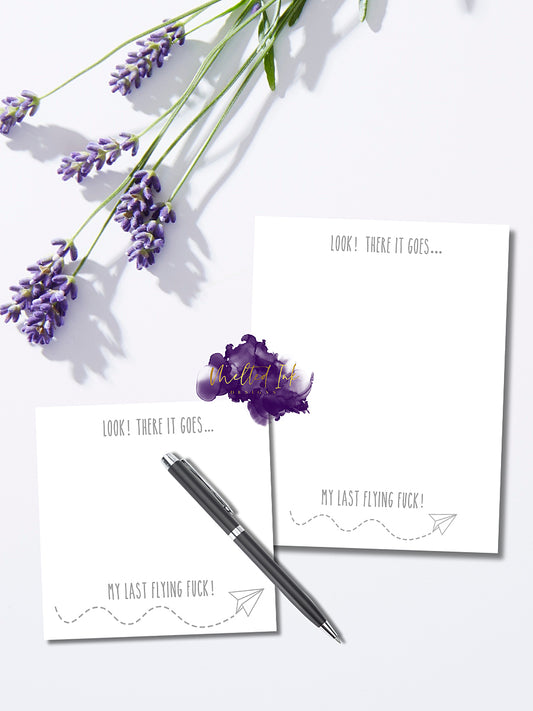 Notepad featuring the phrase "Oh Look, There Goes My Last Flying F***" in bold text featuring a paper airplane, with a playful design that's perfect for humor lovers.